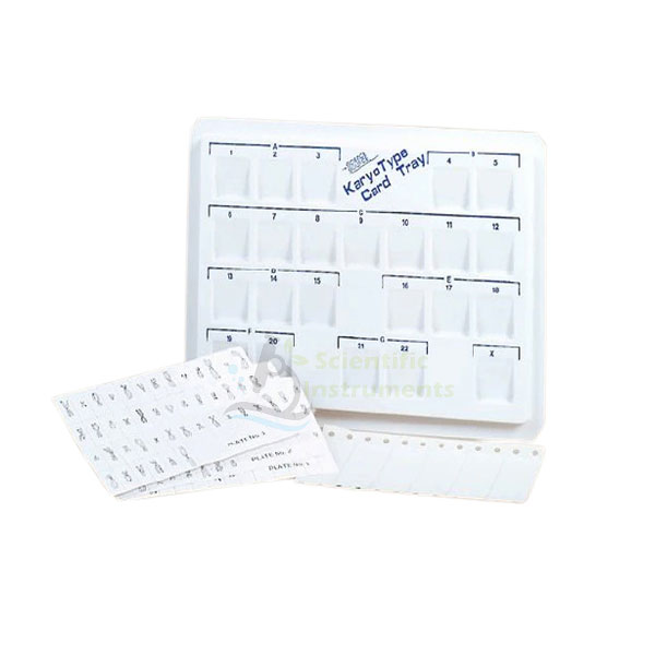 Karyotyping Kit