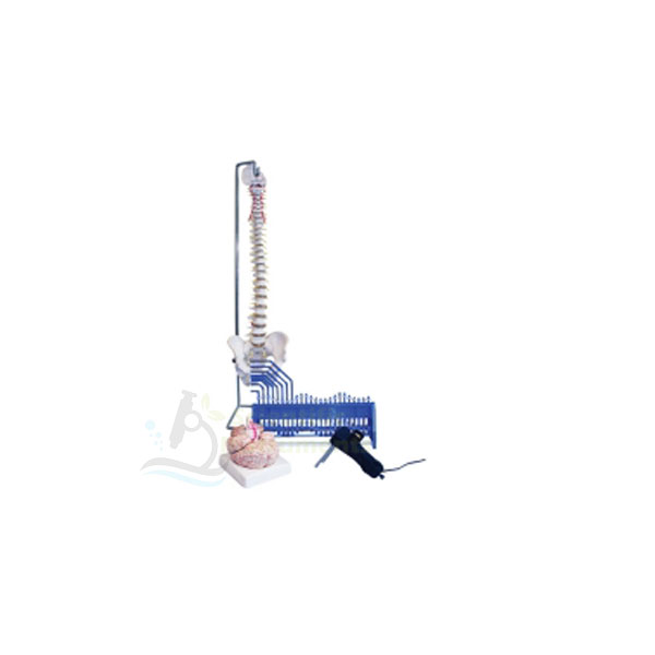 Health and Harmony Empowered Kit