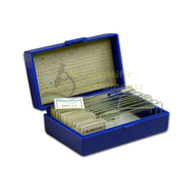 Slides, Basic Biology Set. Prepared.