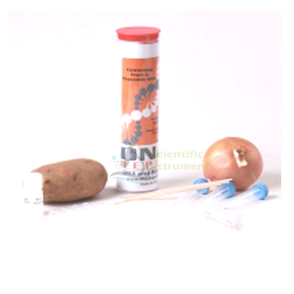 Extracting Fruit/Vegetable DNA