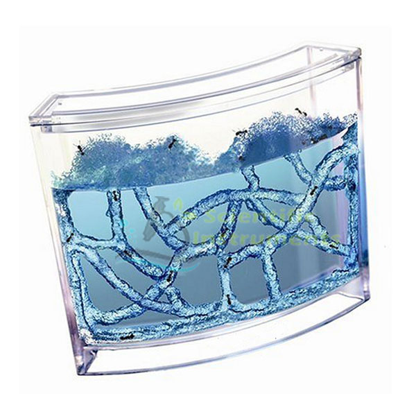 Ant works Illuminator-Blue