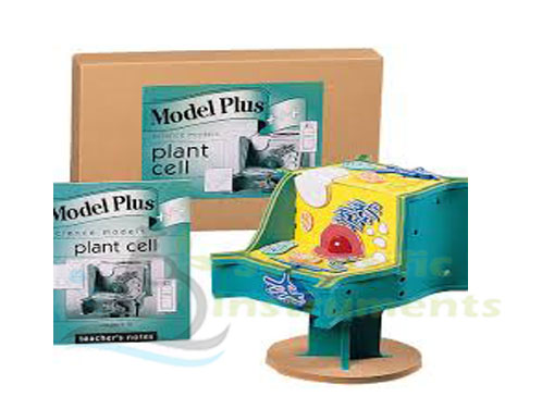 Hands-On Cell Model Act-Plant