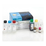 Dna Extraction & Isolation Kit.